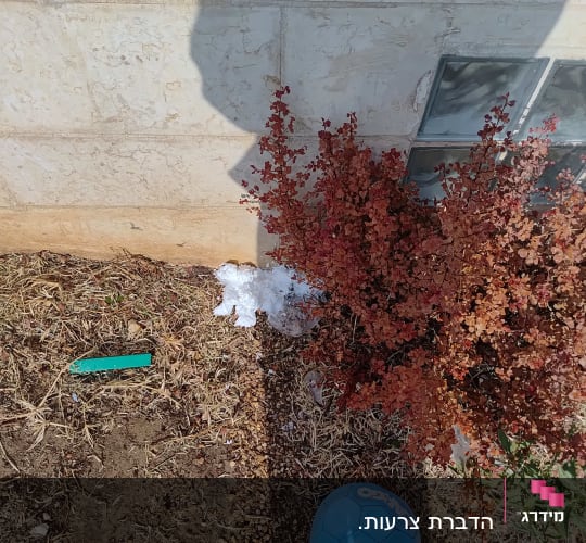 איטום פתח בבסיס קיר חיצוני באמצעות קצף פוליאוריטן למניעת מזיקים